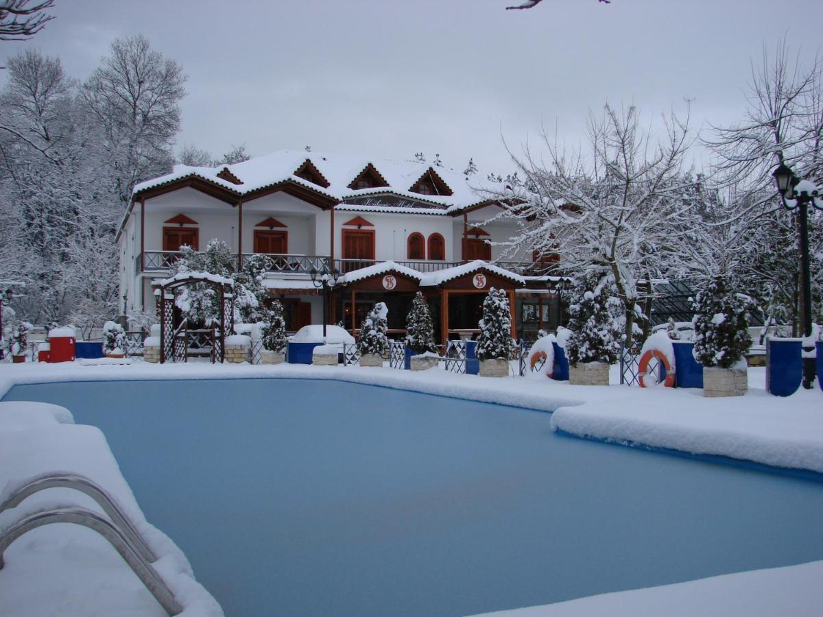 Krikonis Hotel Ioannina Exterior foto